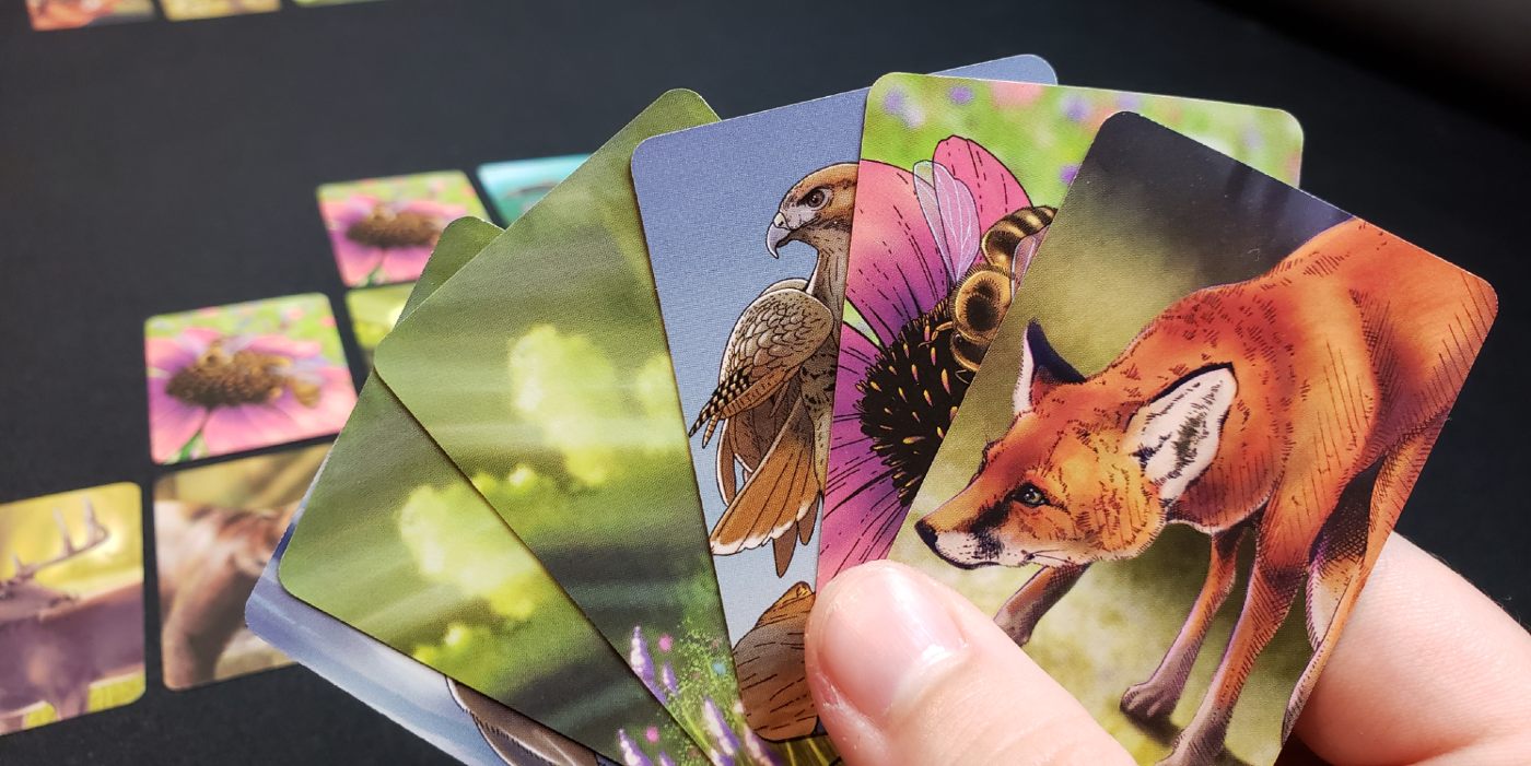 Ecosystem cards