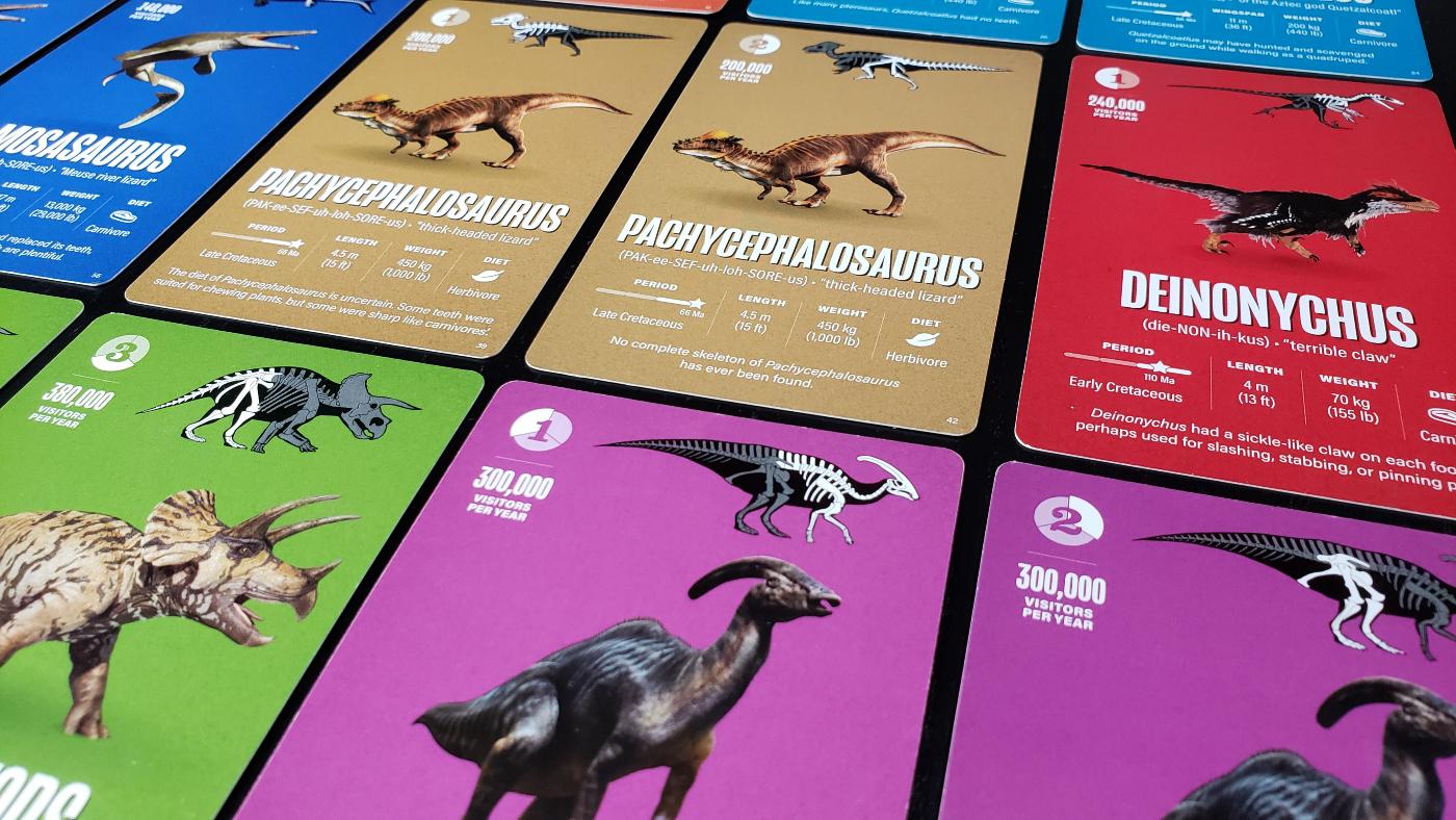 Fossil Canyon cards