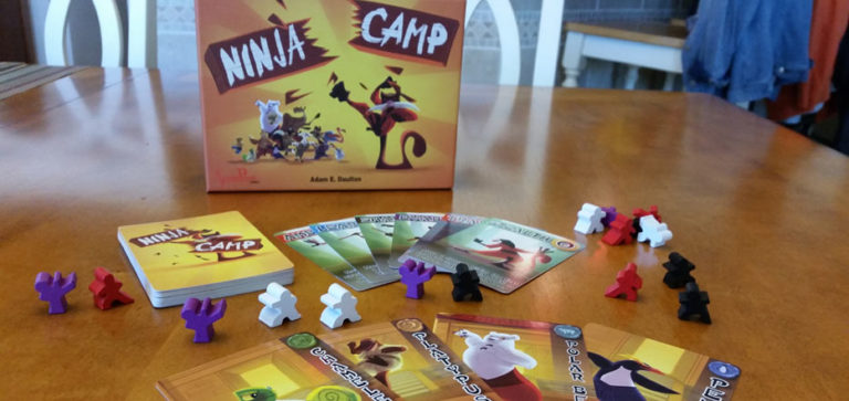 Review: Ninja Camp