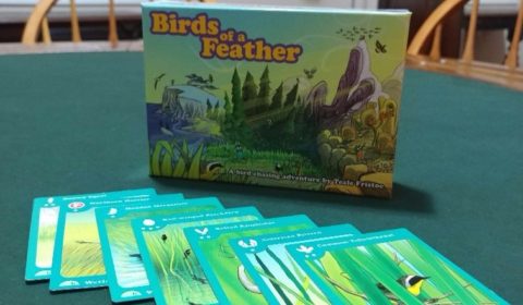 Review: Birds of a Feather