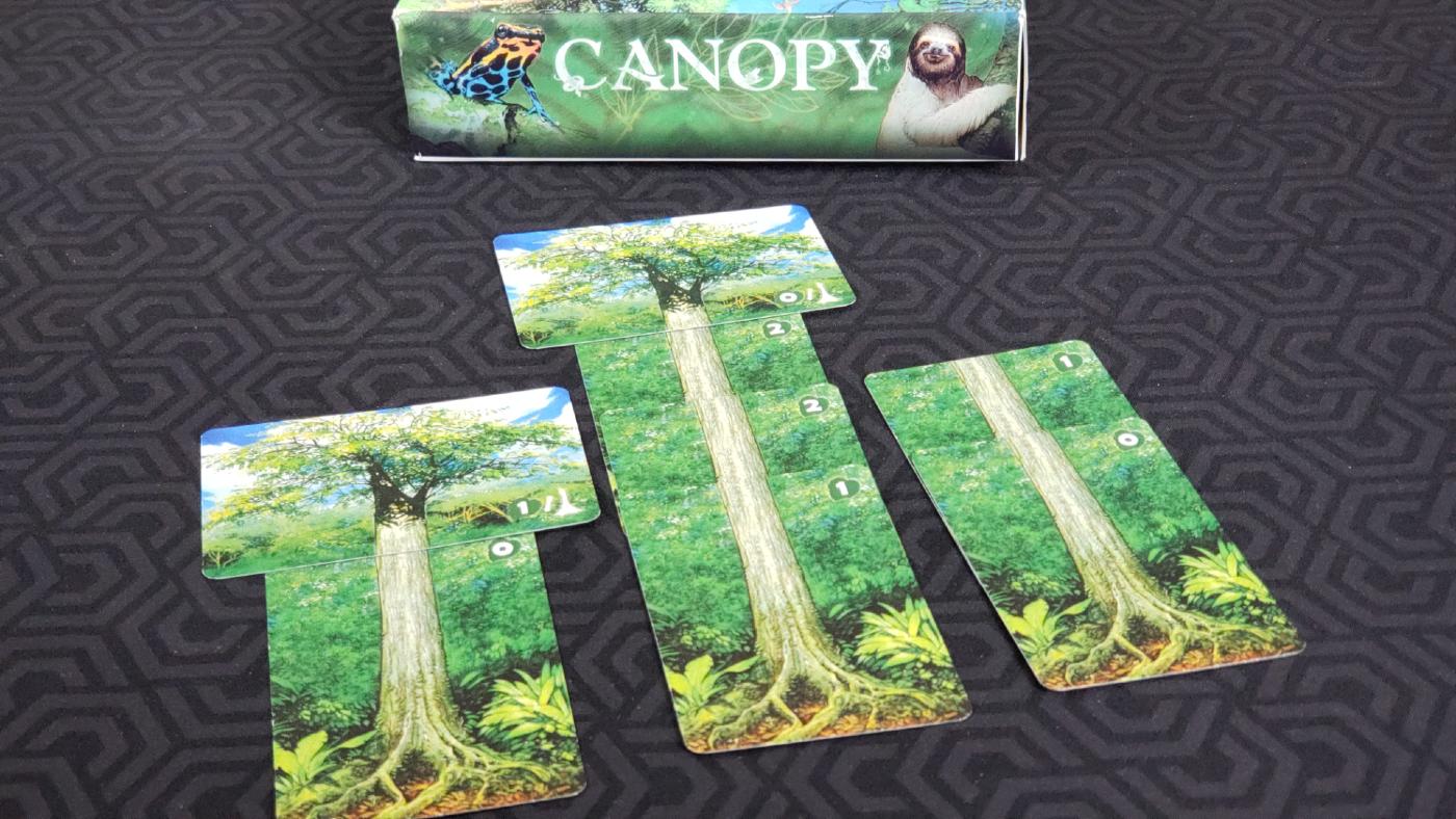 Canopy trees