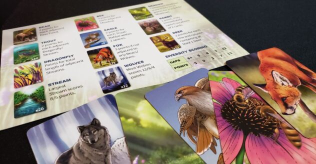 Ecosystem player aid