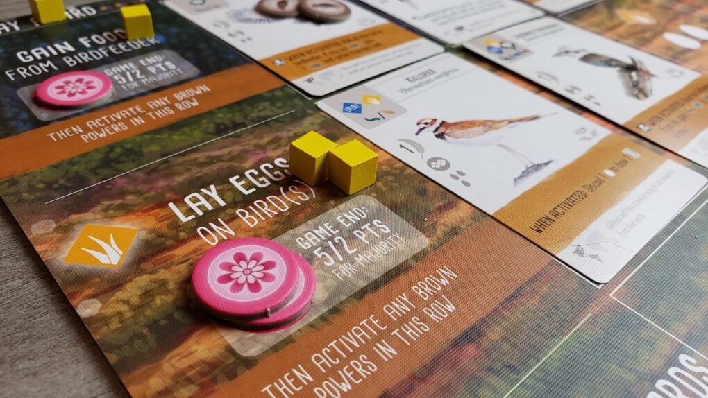 Wingspan Oceania Expansion Review One Board Family