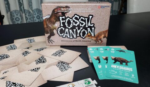 Fossil Canyon Preview
