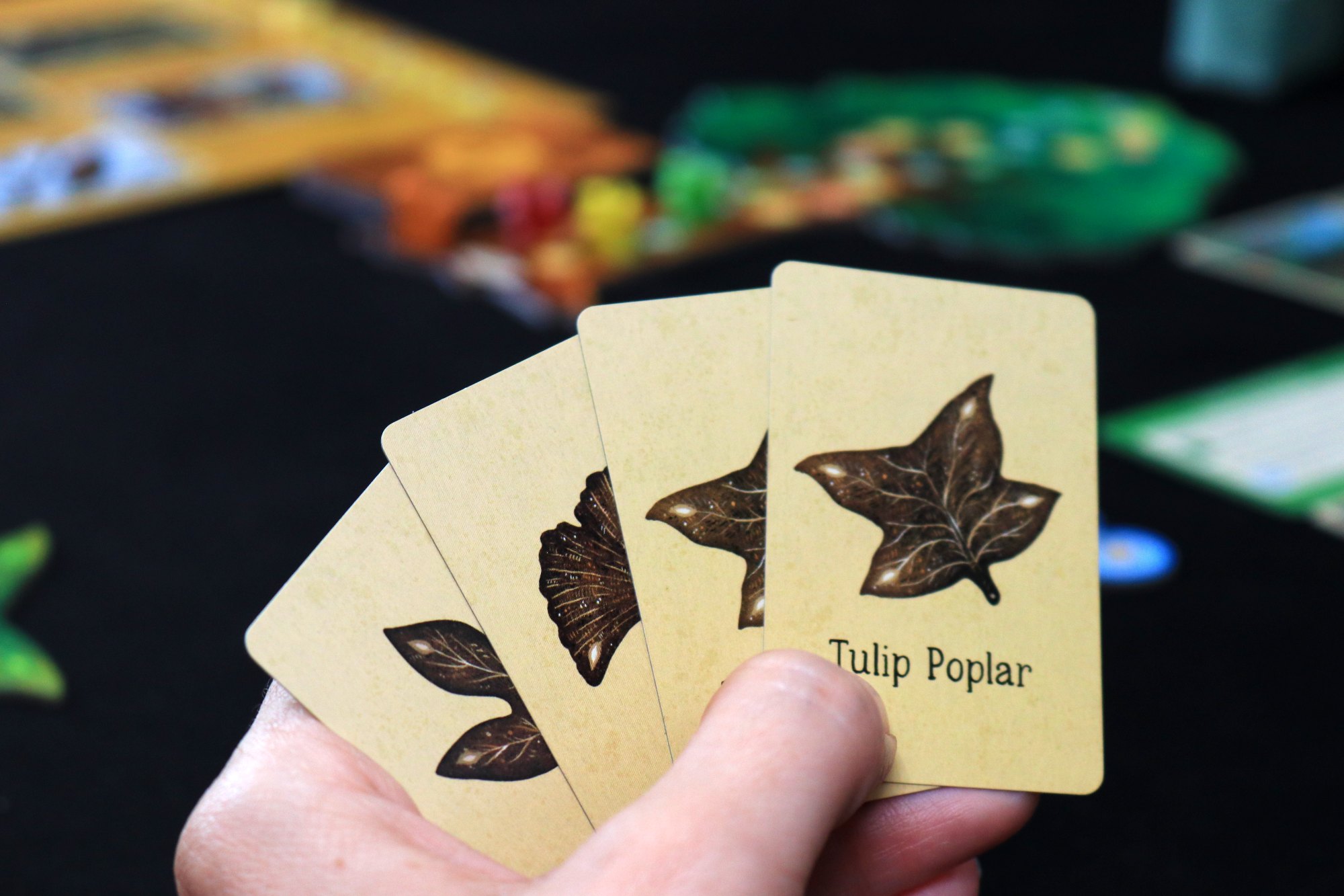 Leaf - player cards