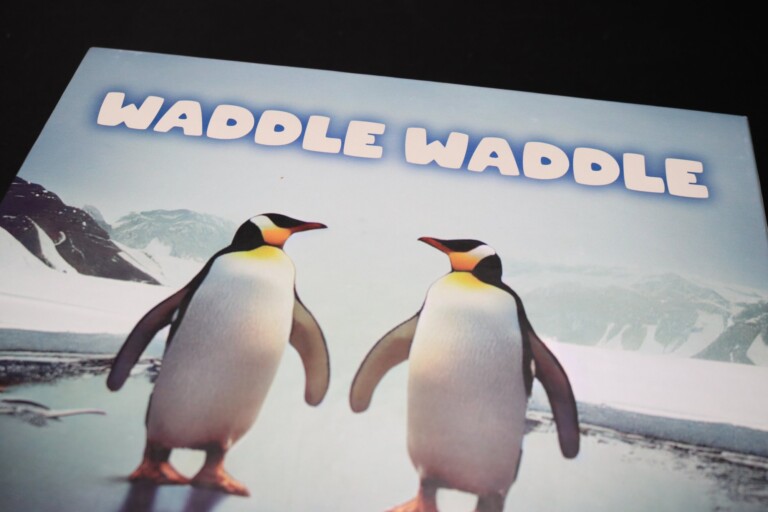 Waddle Waddle Review