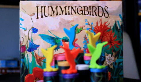 Hummingbirds Review