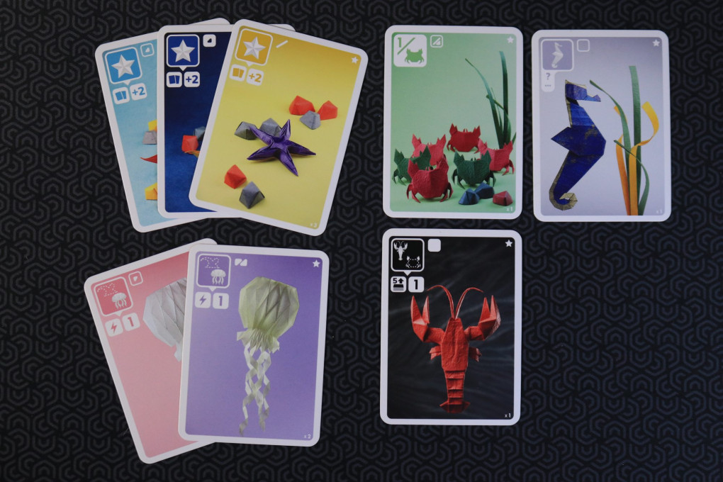 Sal marinho e papel - cartões de sal extra