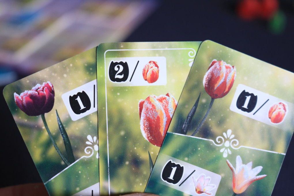 Frosted Blooms - cards in players hand