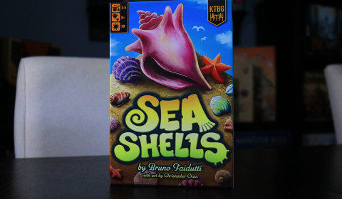 Seashells review