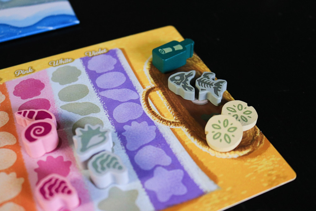 Seashells - specialty tokens